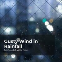 Gusty Wind in Rainfall