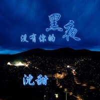 没有你的黑夜