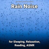 Rain Noise for Sleeping, Relaxation, Reading, ASMR