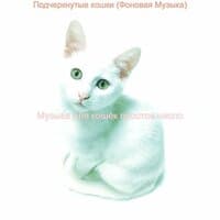 Подчеркнутые кошки (Фоновая Музыка)