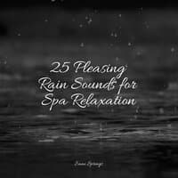 25 Pleasing Rain Sounds for Spa Relaxation