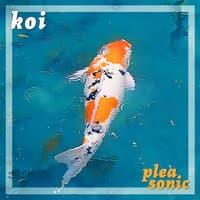 Koi