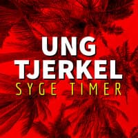 Syge Timer