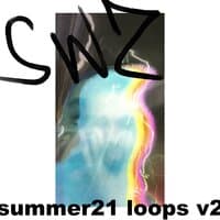 summer21 loops v2