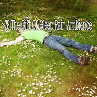 28 The Gift of Sleep Rain Ambience