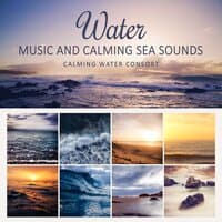 Water Music and Calming Sea Sounds: 50 Zen Tracks, Music for Deep Sleep, Healing Sounds of Nature, Ocean Waves, Deep Rumble of the Sea, Therapy Relaxation