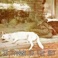 25 Storms of the Day