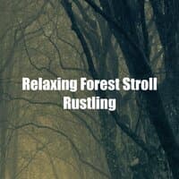 Relaxing Forest Stroll Rustling