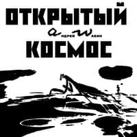 Открытый космос