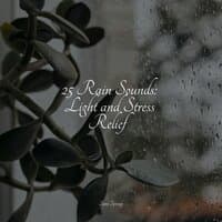 25 Rain Sounds: Light and Stress Relief