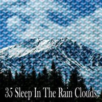 35 Sleep in the Rain Clouds