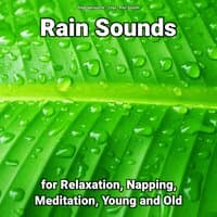 Rain Sounds for Relaxation, Napping, Meditation, Young and Old