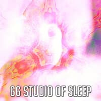 66 Studio of Sleep