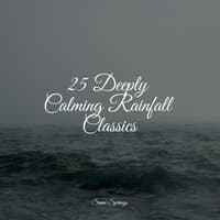 25 Deeply Calming Rainfall Classics