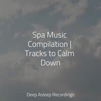 Spa Music Compilation | Tracks to Calm Down