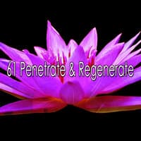 61 Penetrate & Regenerate