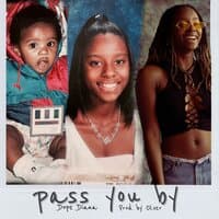 Pass You By