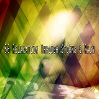 36 Relaxation Through Storms & Rain