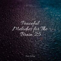 Peaceful Melodies for The Brain 25