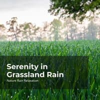 Serenity in Grassland Rain