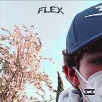 Flex