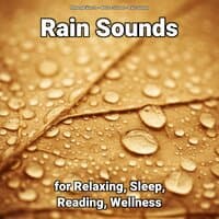 Rain Sounds for Relaxing, Sleep, Reading, Wellness