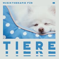 Musiktherapie für Tiere