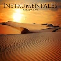 Instrumentales