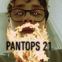 21 Pantops