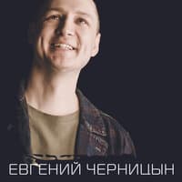 Евгений Черницын