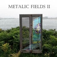 Metalic Fields II