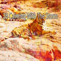 28 Calming with the Storm