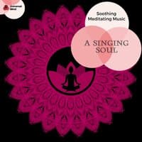 A Singing Soul - Soothing Meditating Music