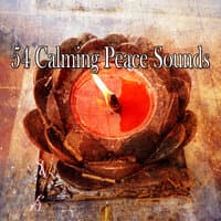 54 Calming Peace Sounds