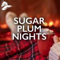 Sugar Plum Nights