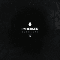 Immersed Elements 02