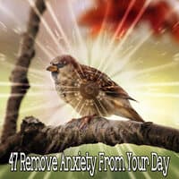 47 Remove Anxiety From Your Day