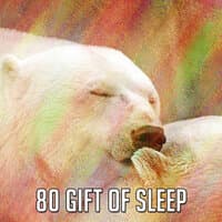 80 Gift of Sleep