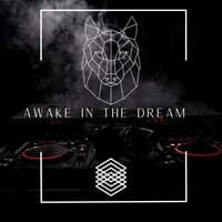 Awake in The Dream