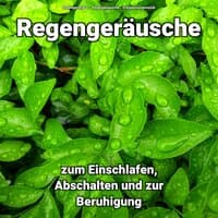 Regengeräusche zum Einschlafen, Abschalten und zur Beruhigung