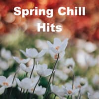 Spring Chill Hits