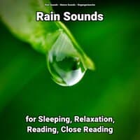 Rain Sounds for Sleeping, Relaxation, Reading, Close Reading