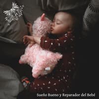 Sueño Bueno y Reparador del Bebé: Tranquilo, Sin llanto, Relajado Bebé