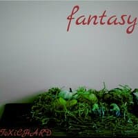 Fantasy