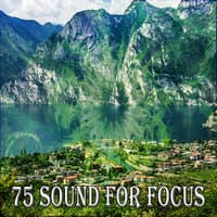 75 Sound for Focus