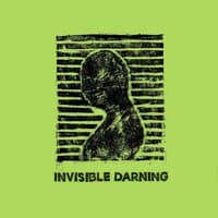 Invisible Darning