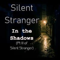 In the Shadows (Pt III of Silent Stranger)