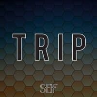 Trip