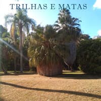 Trilhas e Matas