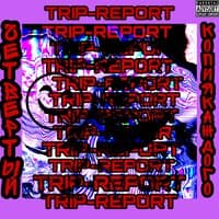 Trip-report